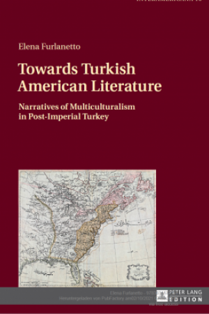 Cover Towards Turkish American Literature